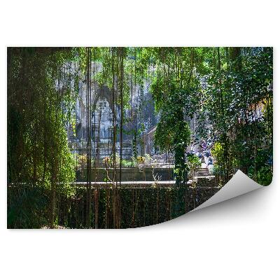 Fotótapéta templom dzsungel lián fák