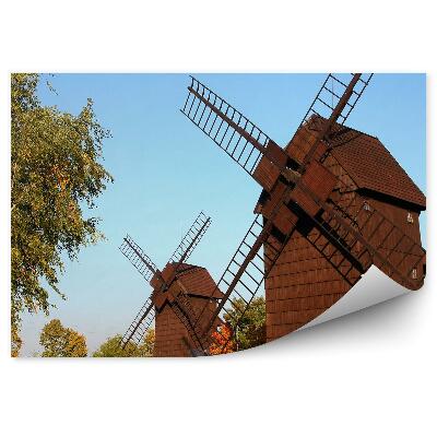 Fotótapéta Régi fa szélmalmok természeti park