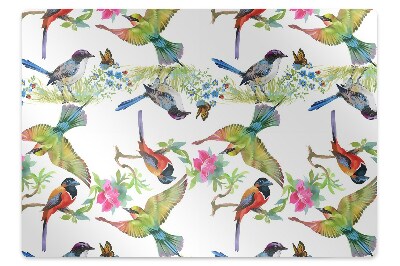 Szék szőnyeg Színes madarak