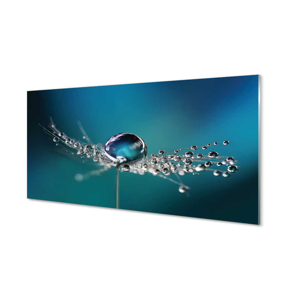 Gyermekláncfű csepp kék háttér Üvegkép nyomtatás