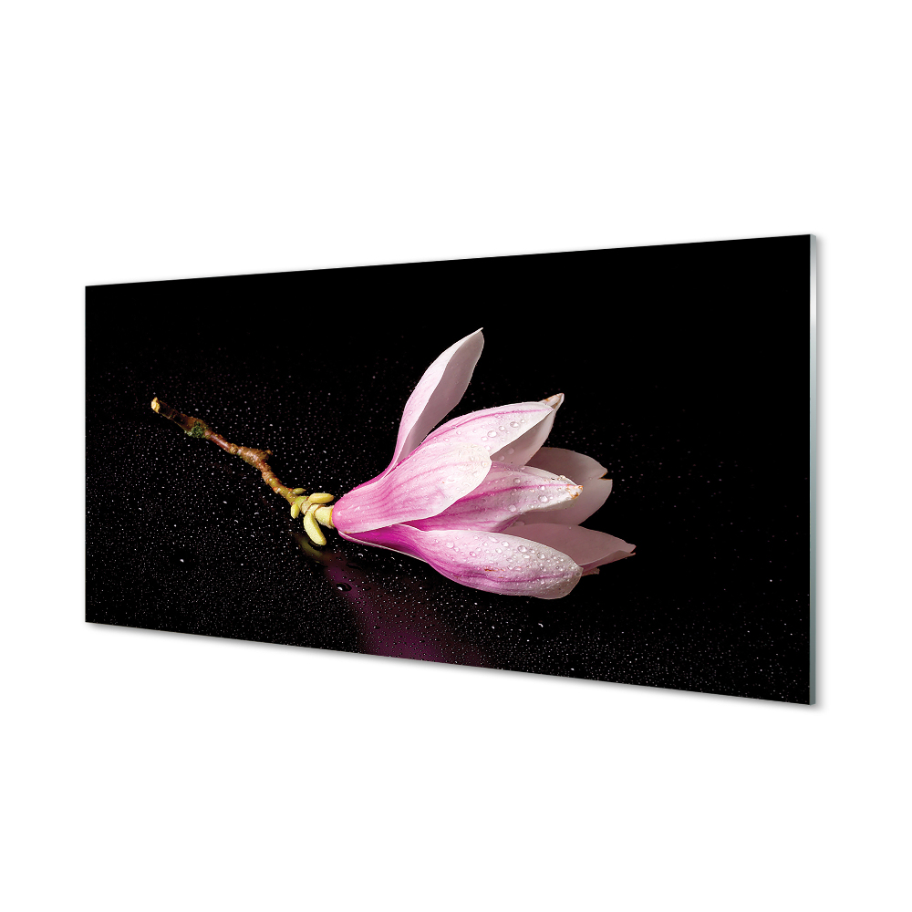 Magnólia virág fekete alapon Üvegkép falra