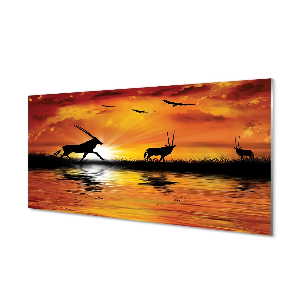 Madarak tó naplemente szavanna Üvegfotó