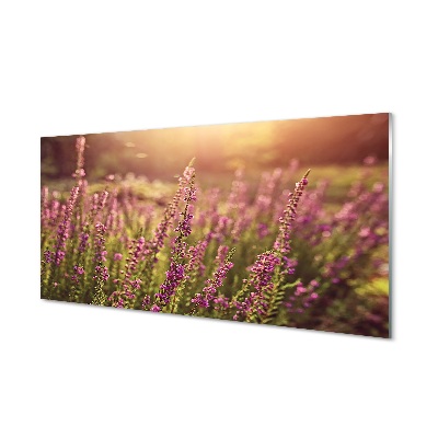 Hangák a mezőn Üvegkép nyomtatás