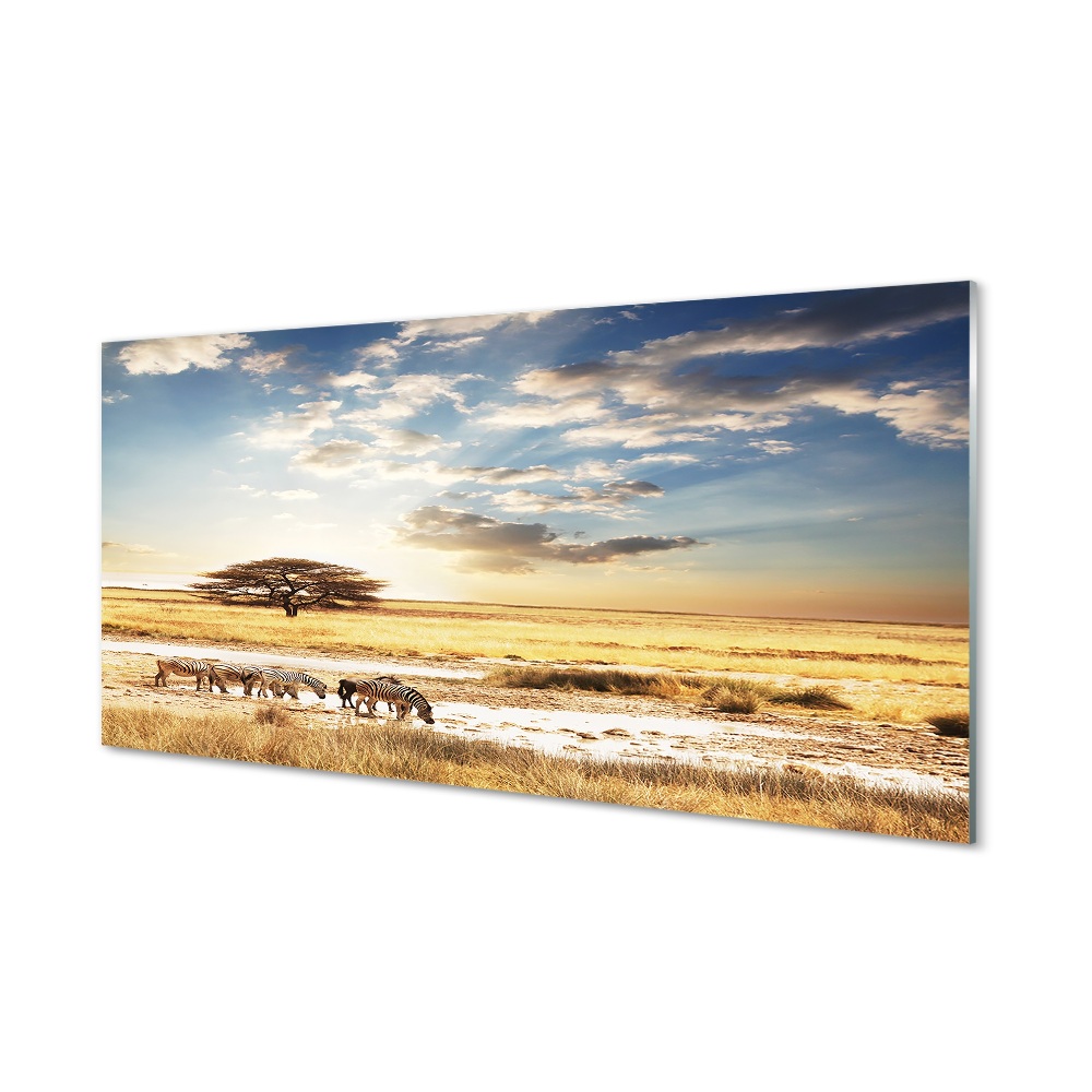 Zebra felhők fa táj Üvegkép falra