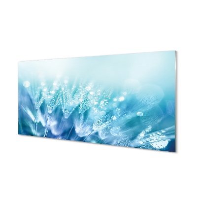 Gyermekláncfű csepp kék háttér Üvegkép