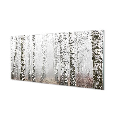 Köd a nyírerdőben Üvegkép nyomtatás