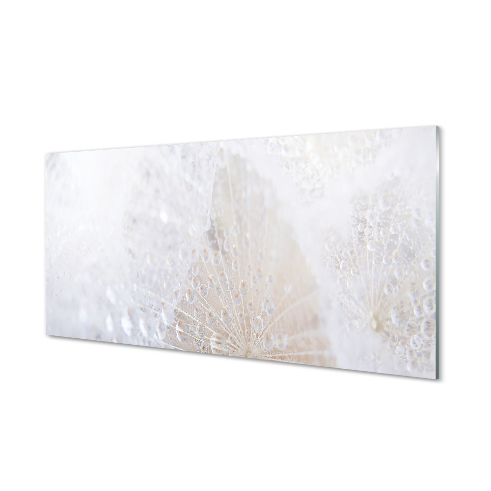 Gyermekláncfű csepp absztrakció Üvegkép falra