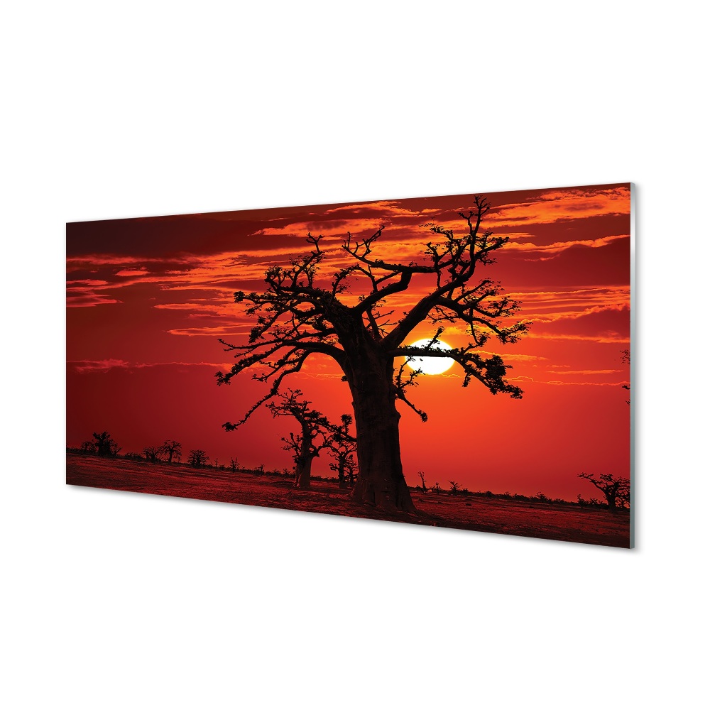 Fák felhők vörös ég Üvegfotó