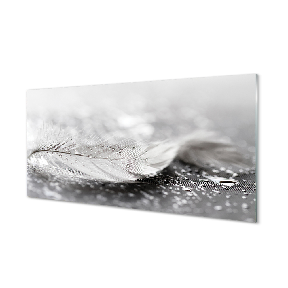 Fehér toll vízcseppekkel Üvegkép nyomtatás