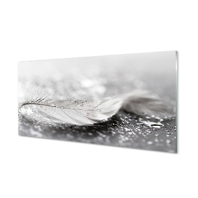 Fehér toll vízcseppekkel Üvegkép nyomtatás