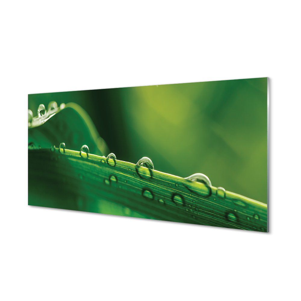 Fű csepp Vértes Egyedi üvegkép