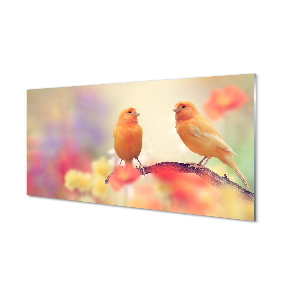 Két papagáj elmosódott háttéren Egyedi üvegkép