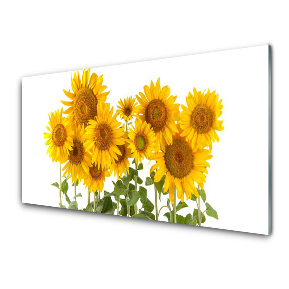 Üvegkép Napraforgók Virágok