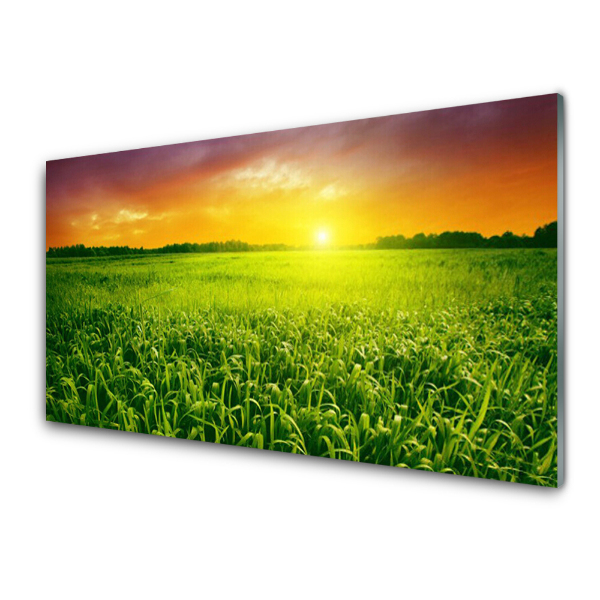 Üvegkép Falra Grain Field Sunrise