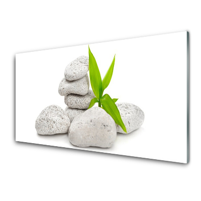 Üvegfotó Stones Plant