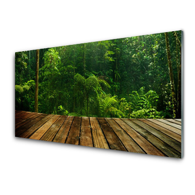 Üvegfotó Erdei Természet Növény