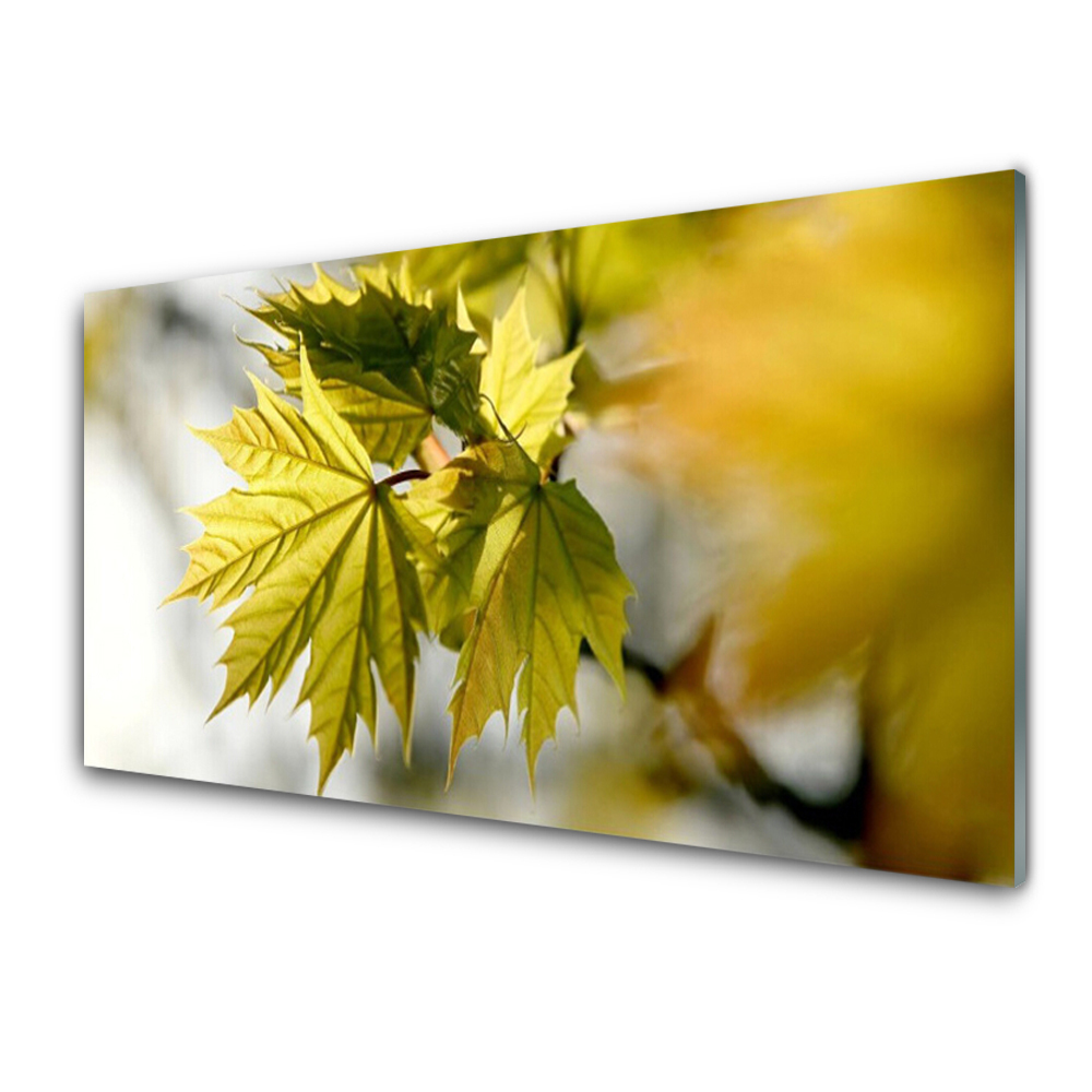 Üvegfotó Levelek Fa növény