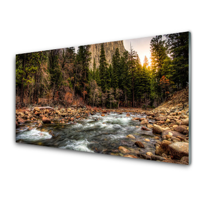 Üvegkép Forest Lake Potok természet