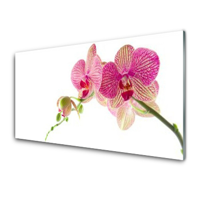 Üvegkép Virágok Növény