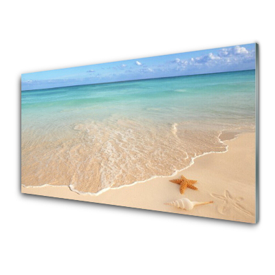 Üvegfotó Tengeri tengeri csillag kilátás