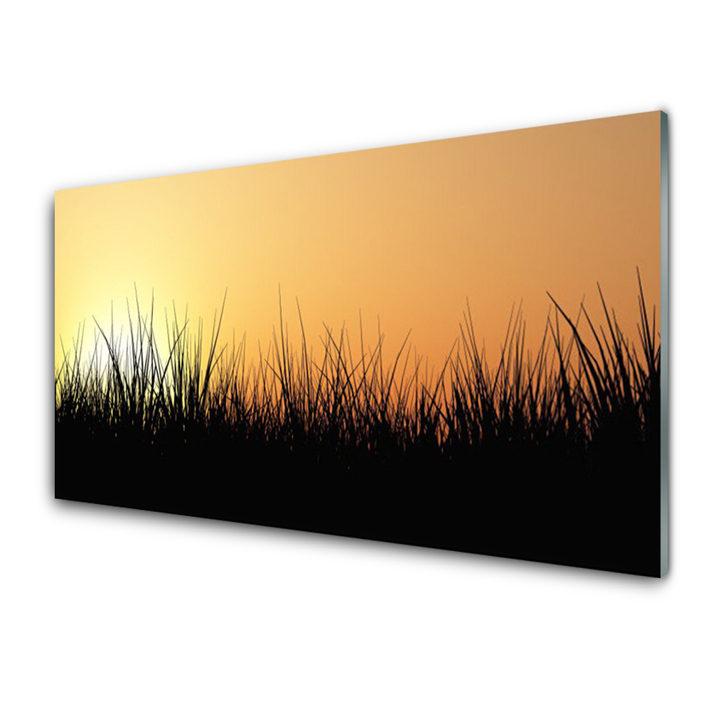 Üvegkép Nyomtatás Fekete fű Nyugat