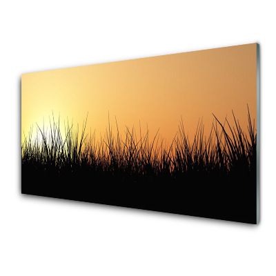 Üvegkép Nyomtatás Fekete fű Nyugat