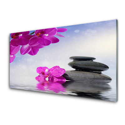 Modern Üvegkép Rózsaszín orchidea virágok