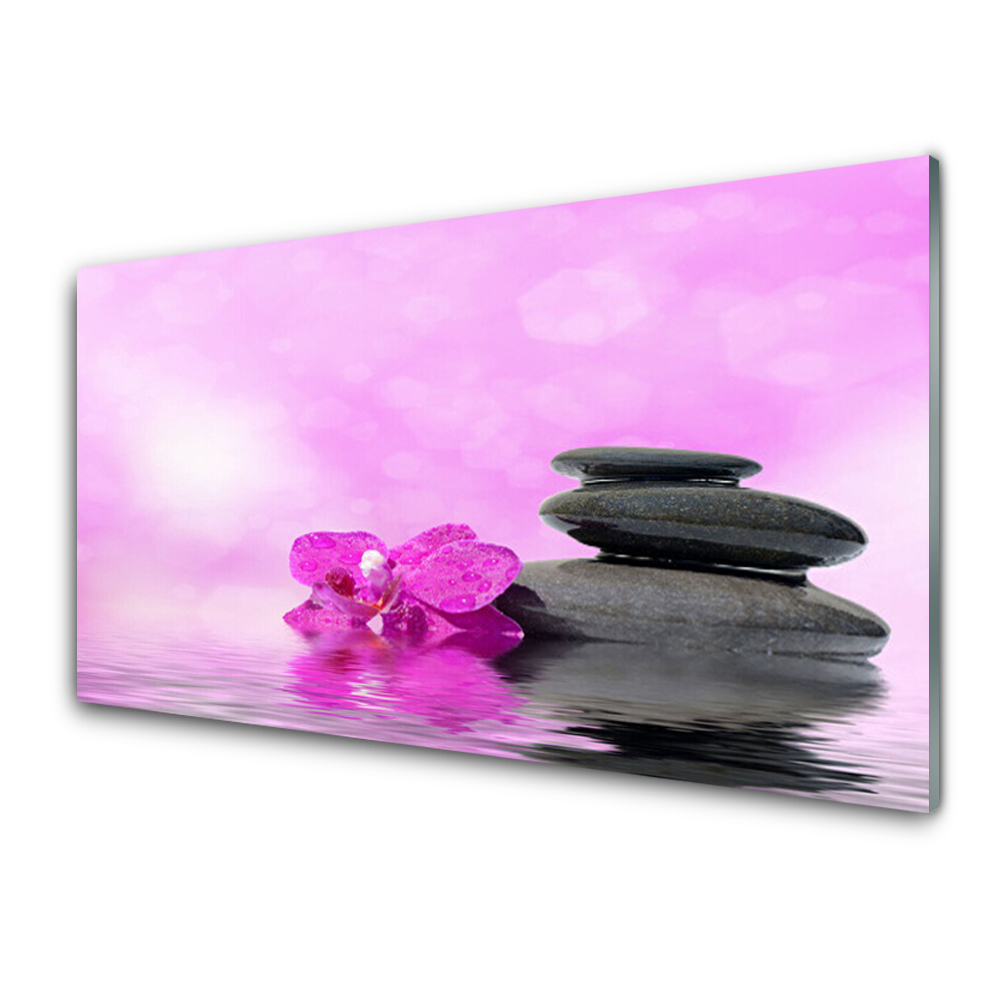 Üvegkép Rózsaszín orchidea kövek háttér