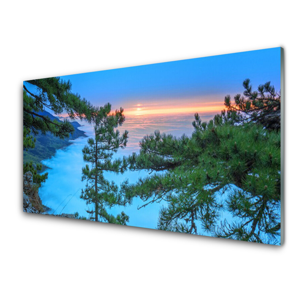 Egyedi Üvegkép Facsúcsok az erdőben