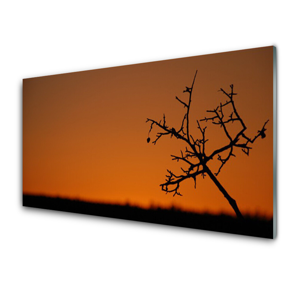 Üvegkép Nyomtatás Naplemente fa körvonala