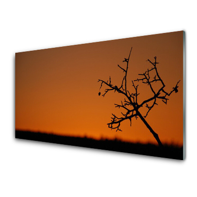 Üvegkép Nyomtatás Naplemente fa körvonala