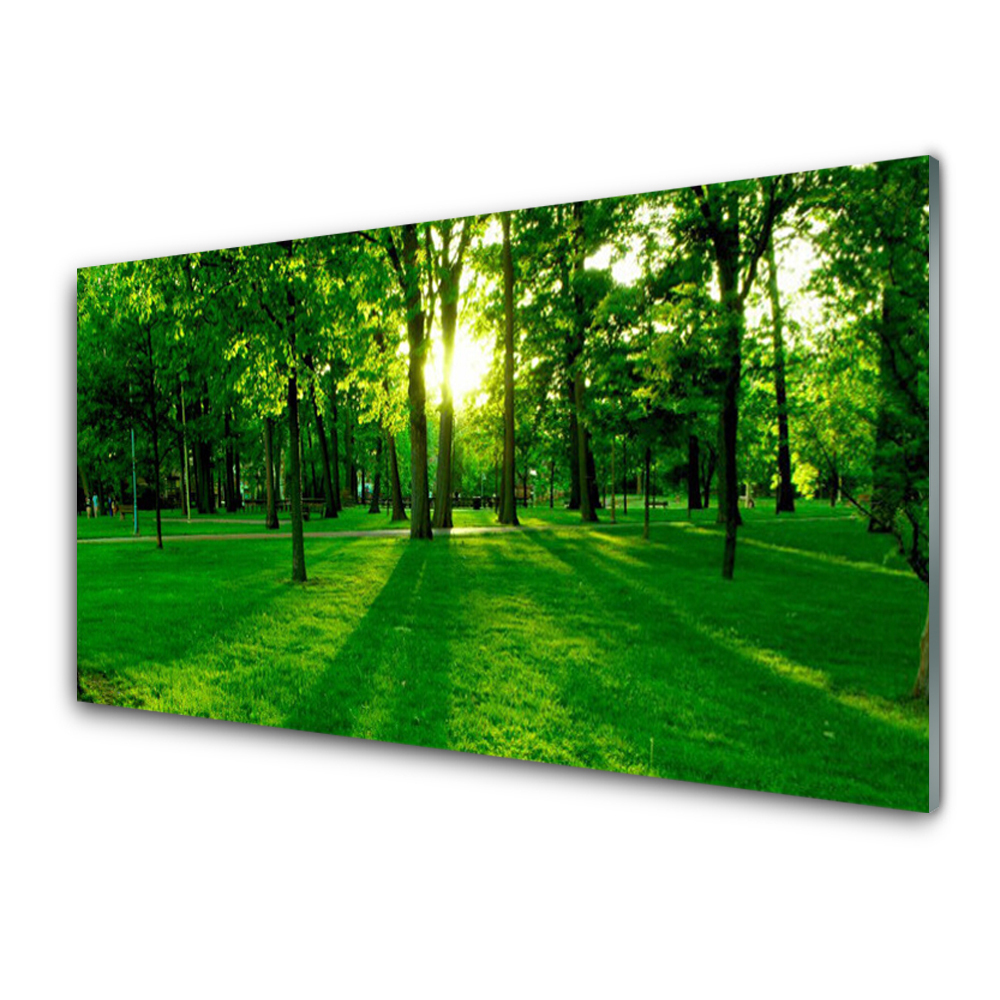 Egyedi Üvegkép Green Park kilátás