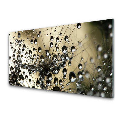 Üvegkép Pitypang és harmat