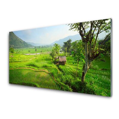 Üvegkép Falra Vidéki házikó a mezőn