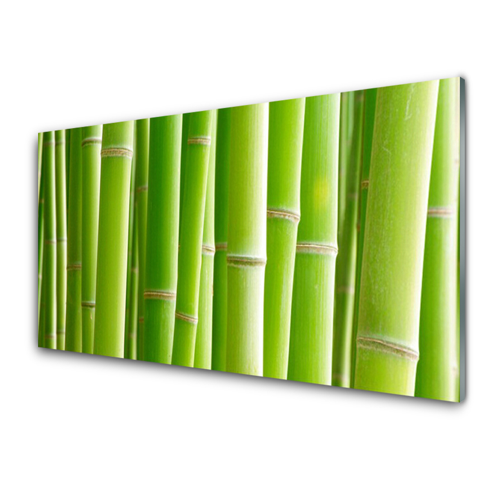 Üvegfotó Bambusz szárak