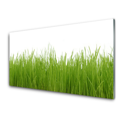 Üvegkép Falra Fiatal fűnövény természet