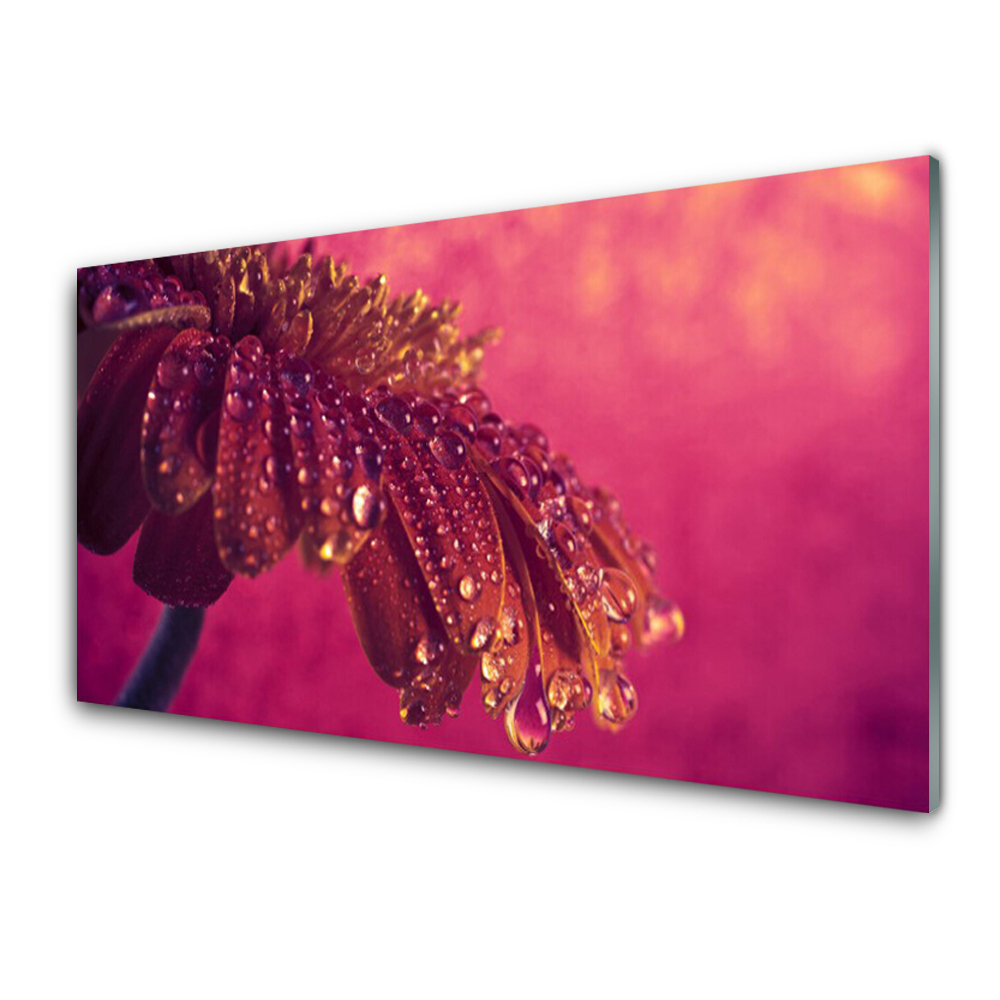 Üvegfotó Virág és vízcseppek