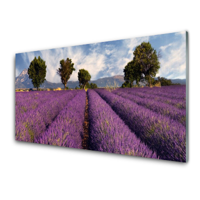 Egyedi Üvegkép Levendula mező és a fák