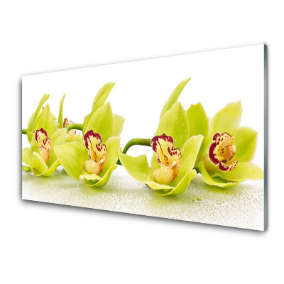 Modern Üvegkép Egzotikus sárga virágok
