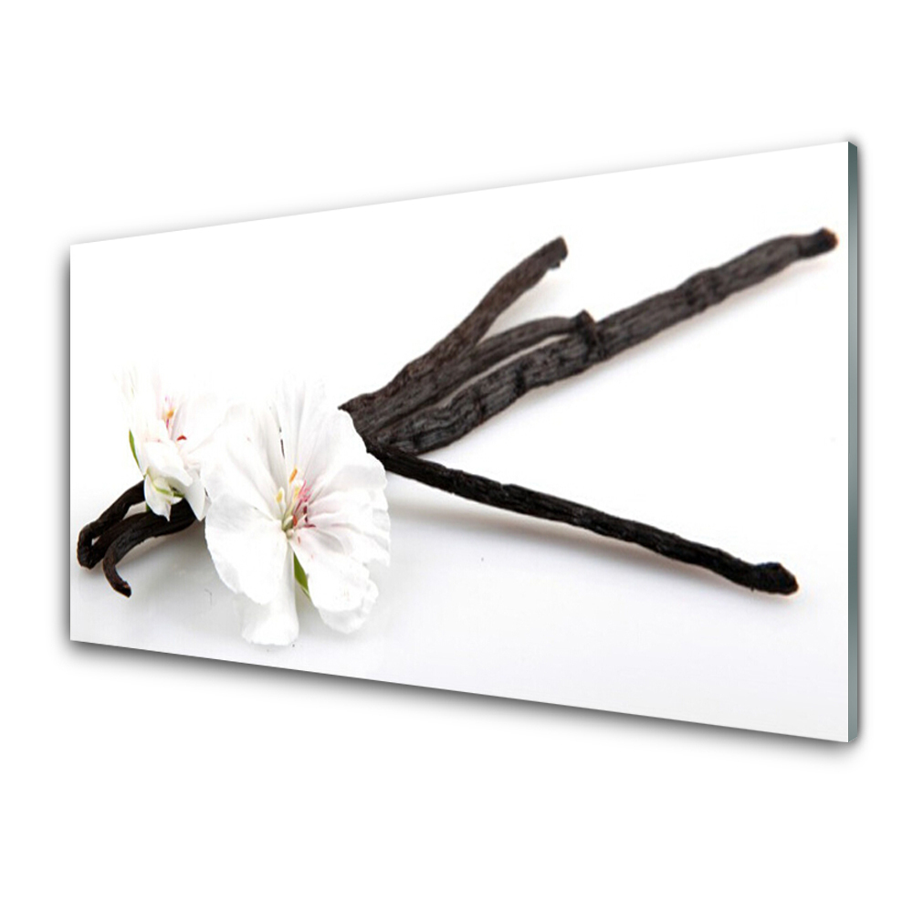 Modern Üvegkép Vanília fűszer