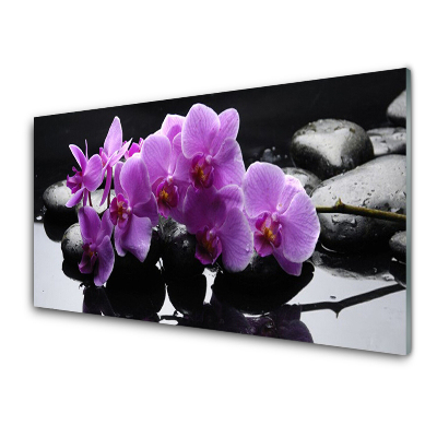 Üvegkép Falra Orchidea a háttérben a kövek