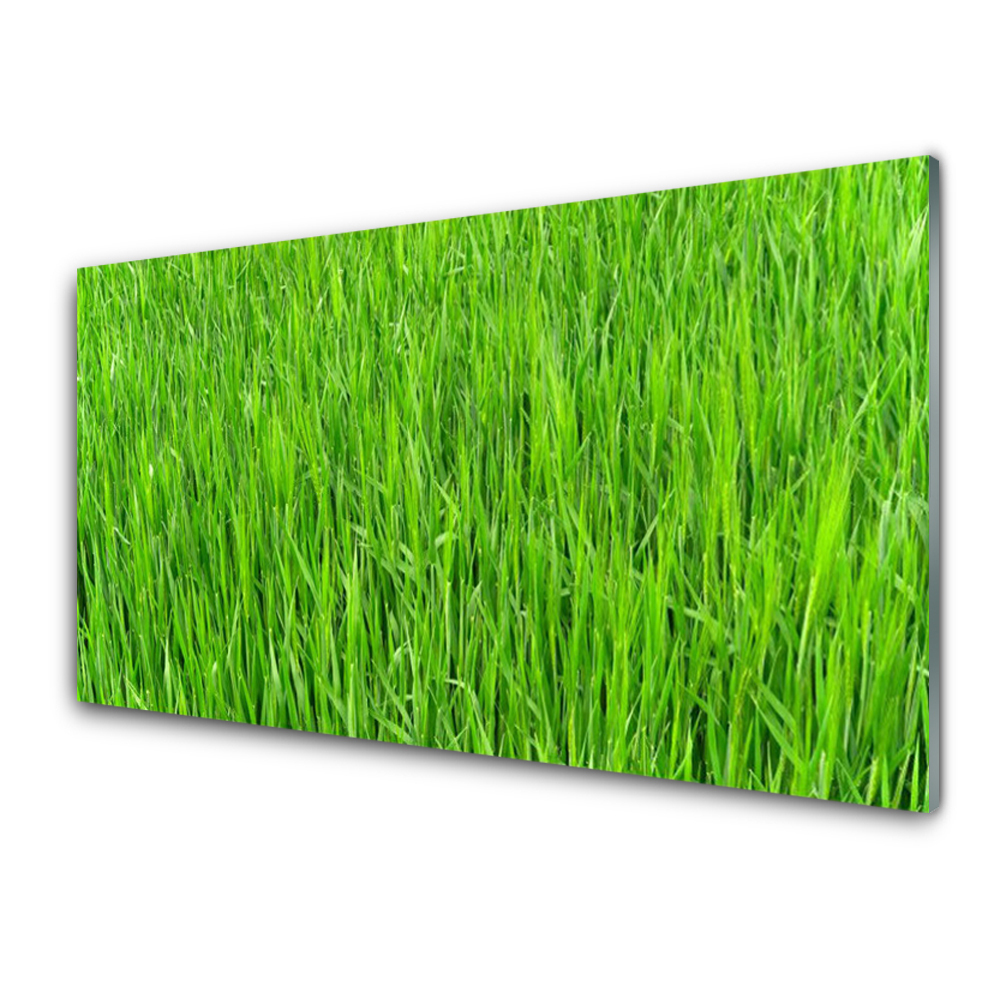 Egyedi Üvegkép Green Grass Turf