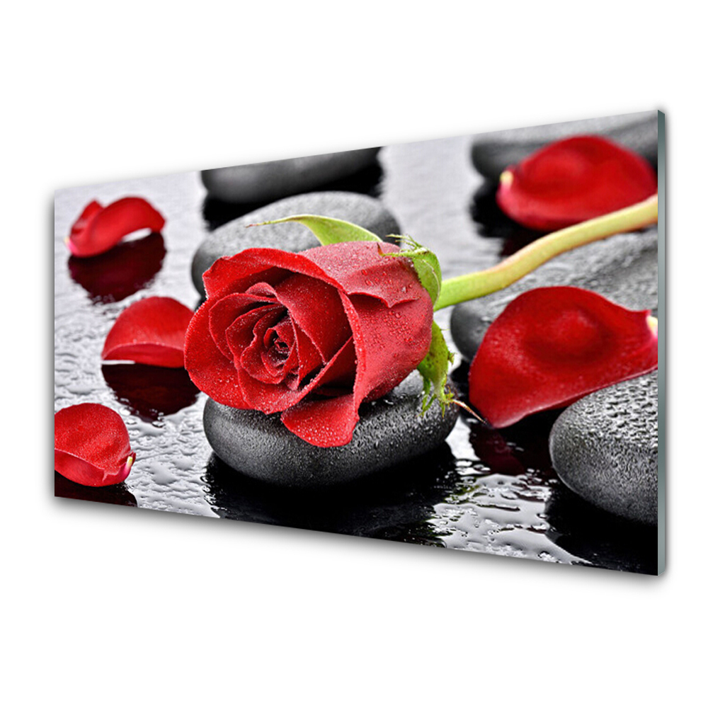 Modern Üvegkép Vörös rózsa virág a köveken
