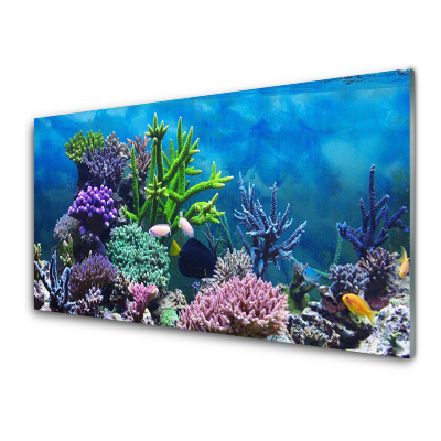 Üvegkép Akváriumi halak kökörcsin és korallok