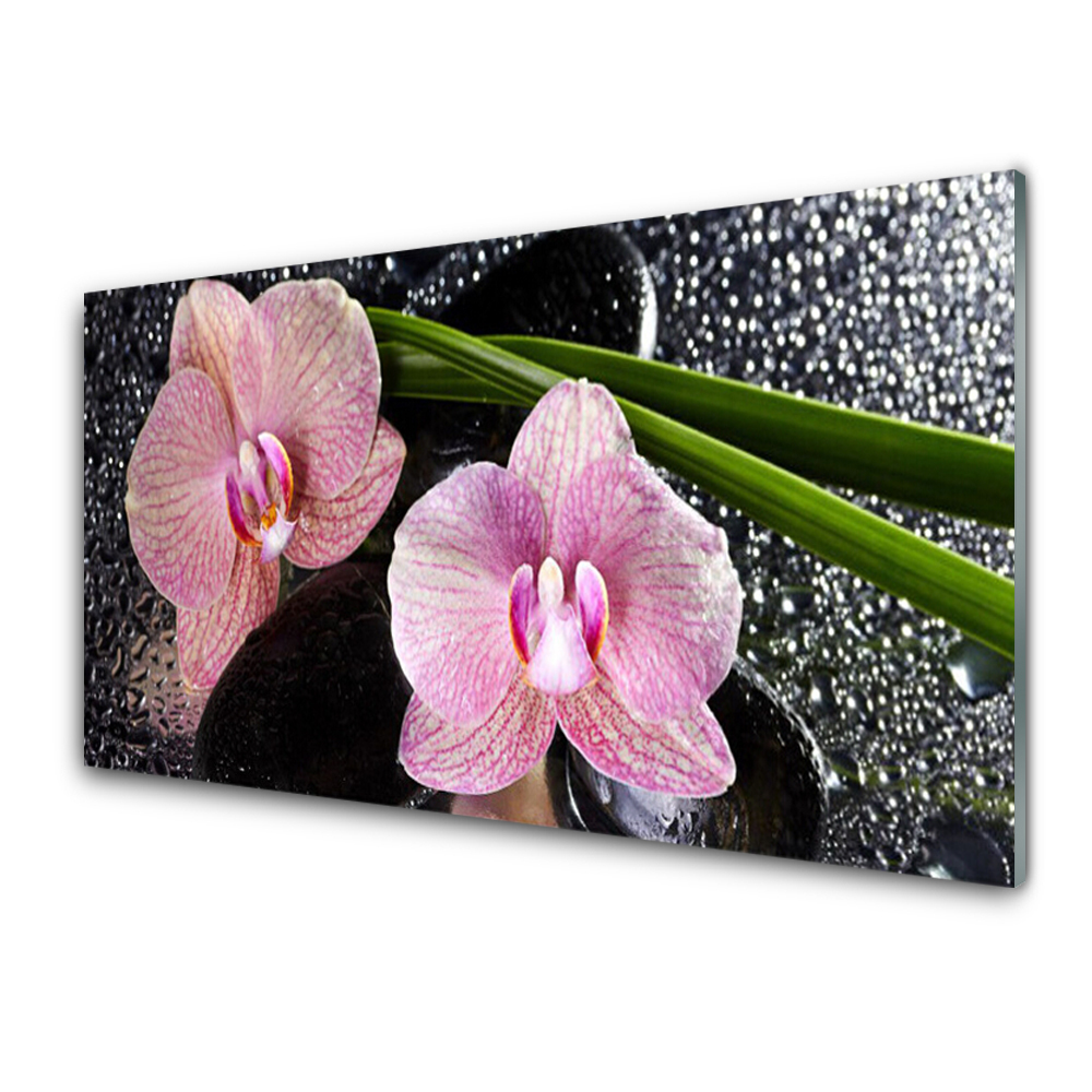 Egyedi Üvegkép Orchidea Pink Zen orchidea