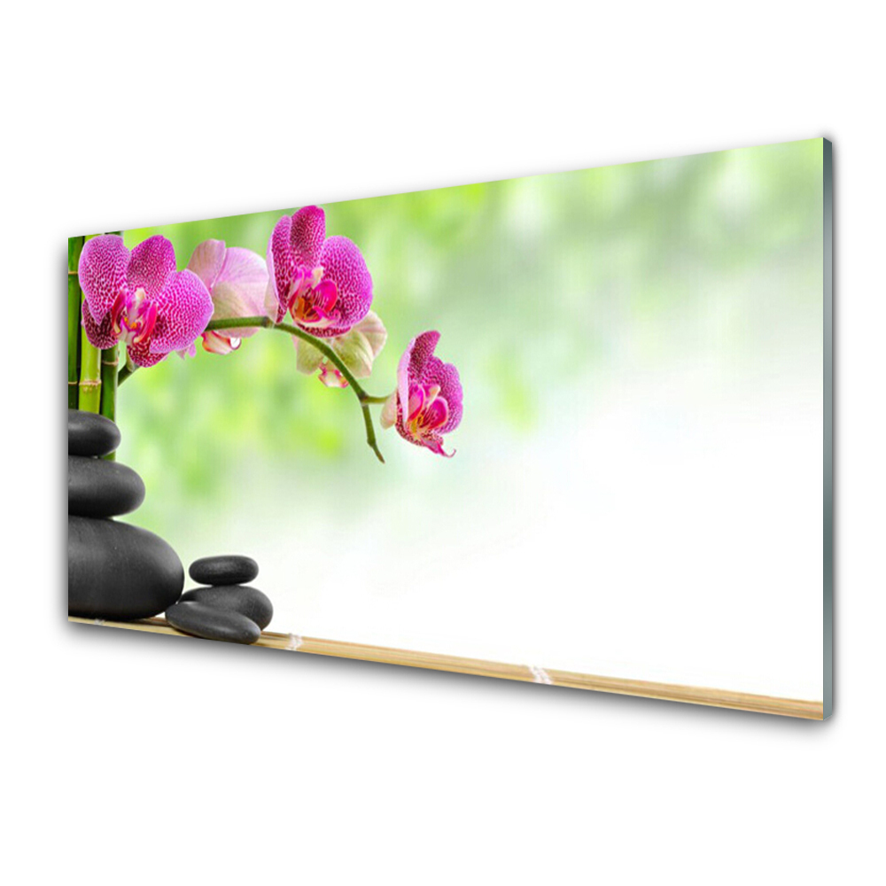 Modern Üvegkép Bamboo Shoots Stones