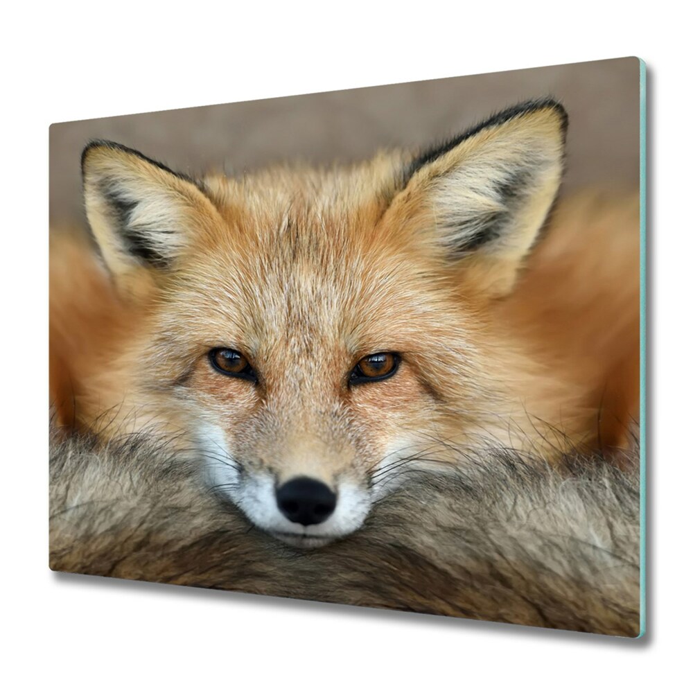 Tűzhely Védő Hazug róka