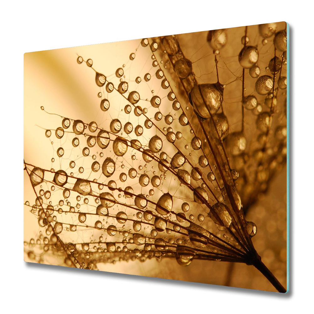 Tűzhely Védő Harmat a pitypangon