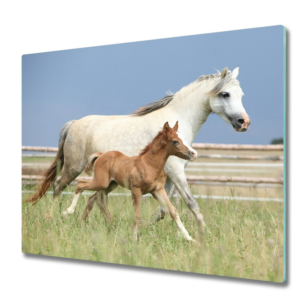 Tűzhely Fedőlap Kanca csikóval