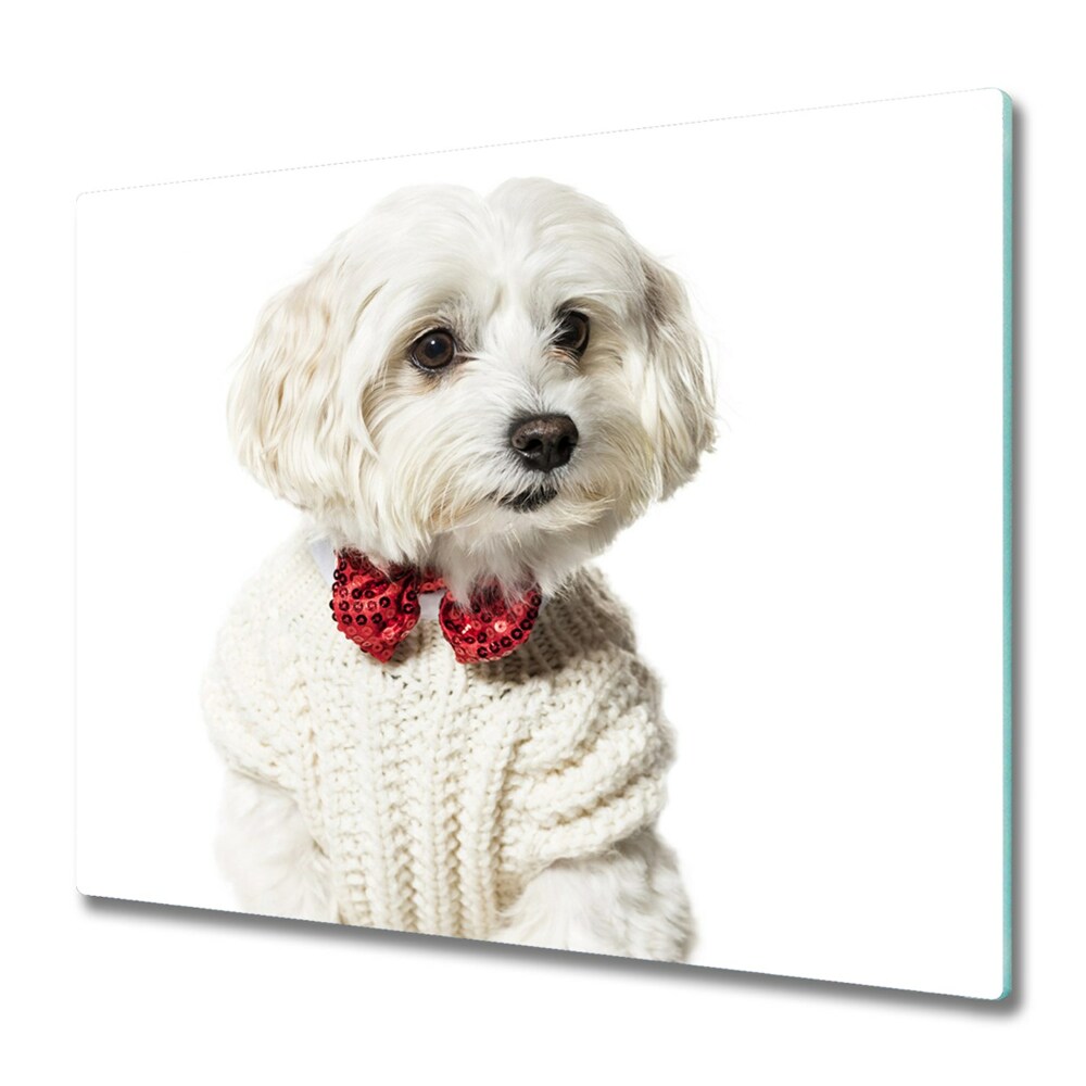 Üveg Tűzhelyvédő Egy kutya csokornyakkendőben